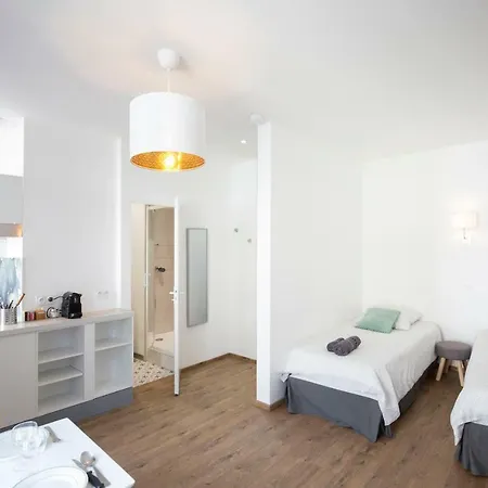 Le Pavillon Bleu Apartment Lourdes